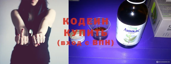 крисы Абаза