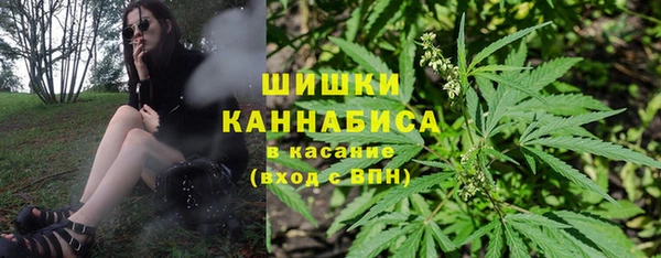 шишки Алексин