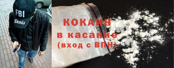 шишки Алексин