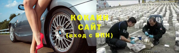 мет Гусев