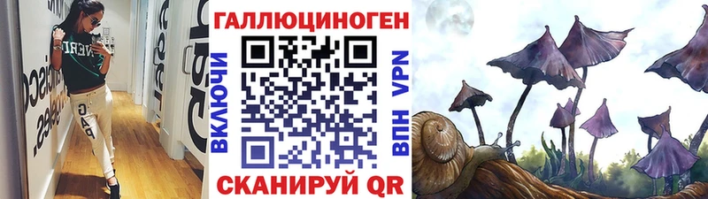Псилоцибиновые грибы мицелий  закладка  Чистополь 