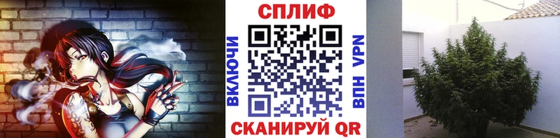сайты даркнета какой сайт Чистополь Марихуана VHQ закладки